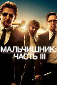 Мальчишник: Часть III (2013)